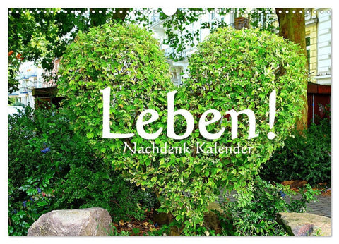 Leben! - Nachdenk-Kalender (Wandkalender 2026 DIN A3 quer), CALVENDO Monatskalender