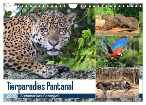 Tierparadies Pantanal (Wandkalender 2026 DIN A4 quer), CALVENDO Monatskalender