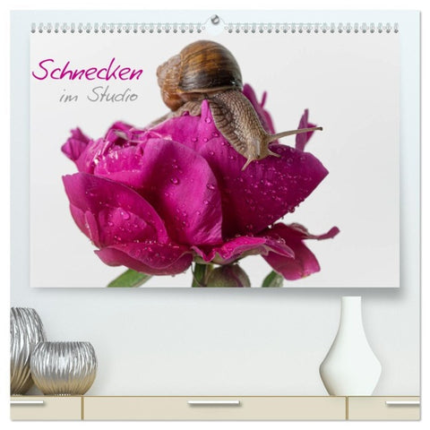 Schnecken im Studio (hochwertiger Premium Wandkalender 2026 DIN A2 quer), Kunstdruck in Hochglanz