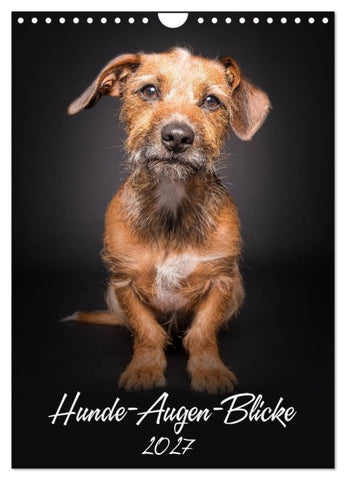 Hunde-Augen-Blicke (Wandkalender 2027 DIN A4 hoch), CALVENDO Monatskalender
