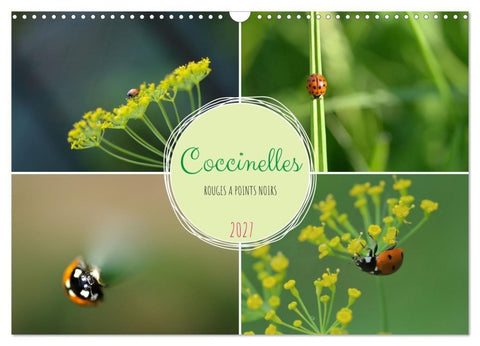 Coccinelles rouges à points noirs (Calendrier mural 2027 DIN A3 vertical), CALVENDO calendrier mensuel