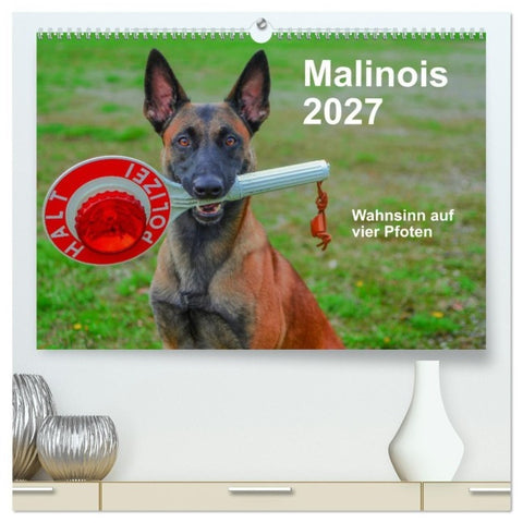 Malinois - Wahnsinn auf vier Pfoten (hochwertiger Premium Wandkalender 2027 DIN A2 quer), Kunstdruck in Hochglanz