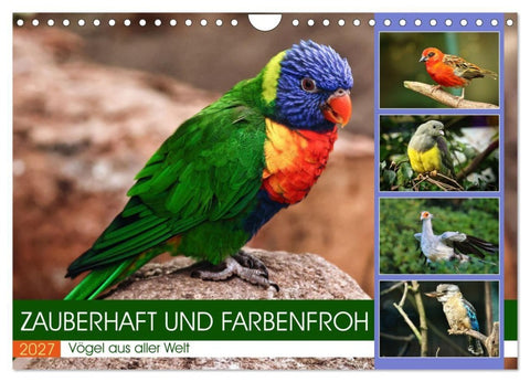 Zauberhaft und farbenfroh (Wandkalender 2027 DIN A4 quer), CALVENDO Monatskalender