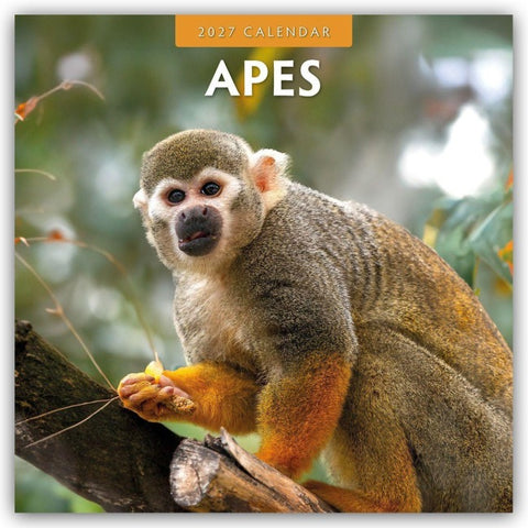 Apes – Affen 2027 – 16-Monatskalender