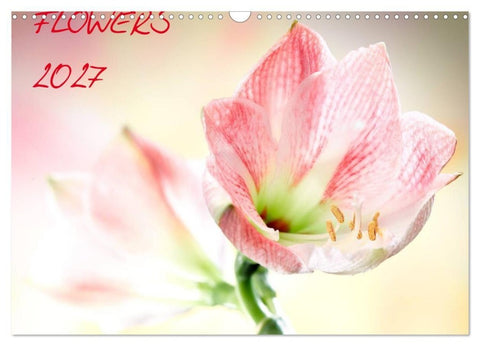 Flowers / 2027 (Wandkalender 2027 DIN A3 quer), CALVENDO Monatskalender