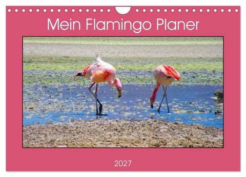 Mein Flamingo Planer (Wandkalender 2027 DIN A4 quer), CALVENDO Monatskalender