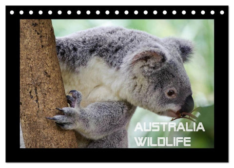 Australia Wildlife (Tischkalender 2027 DIN A5 quer), CALVENDO Monatskalender