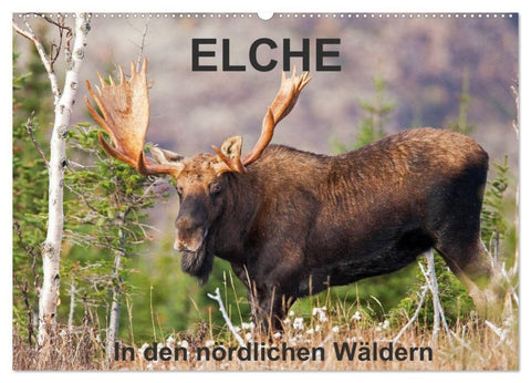 ELCHE In den nördlichen Wäldern (Wandkalender 2027 DIN A2 quer), CALVENDO Monatskalender