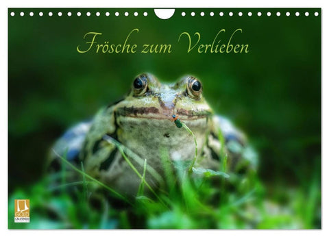 Frösche zum Verlieben (Wandkalender 2027 DIN A4 quer), CALVENDO Monatskalender