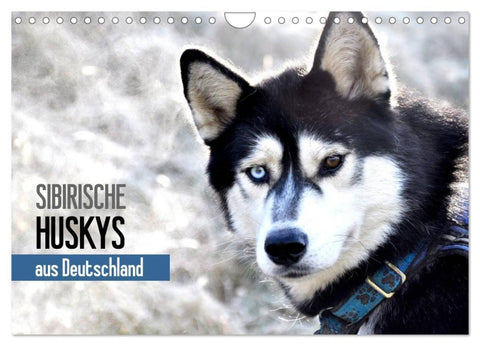 Sibirische Huskys aus Deutschland (Wandkalender 2026 DIN A4 quer), CALVENDO Monatskalender