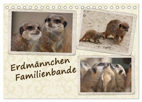 Erdmännchen Familienbande (Tischkalender 2026 DIN A5 quer), CALVENDO Monatskalender