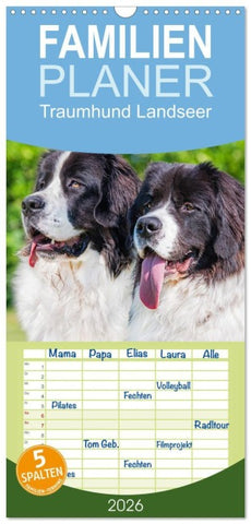 Familienplaner 2026 - Traumhund Landseer mit 5 Spalten (Wandkalender, 21 x 45 cm) CALVENDO