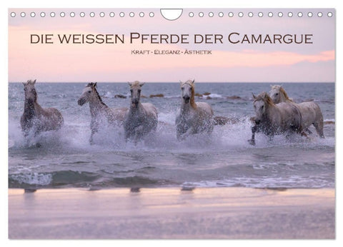 Die weißen Pferde der Camargue (Wandkalender 2027 DIN A4 quer), CALVENDO Monatskalender
