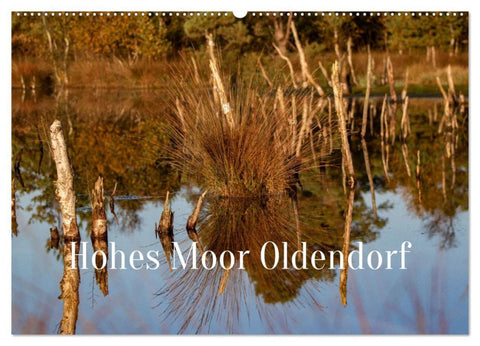 Hohes Moor Oldendorf (Wandkalender 2026 DIN A2 quer), CALVENDO Monatskalender
