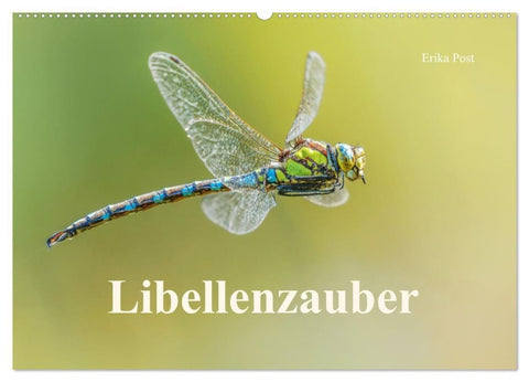 Libellenzauber (Wandkalender 2027 DIN A2 quer), CALVENDO Monatskalender