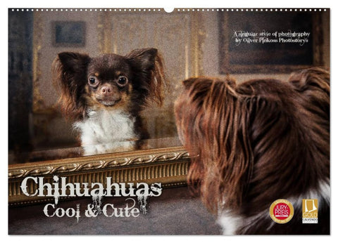 Chihuahuas - Cool and Cute (Wandkalender 2026 DIN A2 quer), CALVENDO Monatskalender