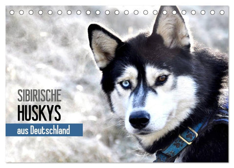 Sibirische Huskys aus Deutschland (Tischkalender 2026 DIN A5 quer), CALVENDO Monatskalender