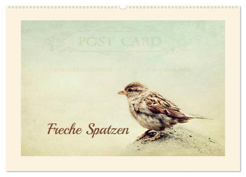 Freche Spatzen (Wandkalender 2026 DIN A2 quer), CALVENDO Monatskalender