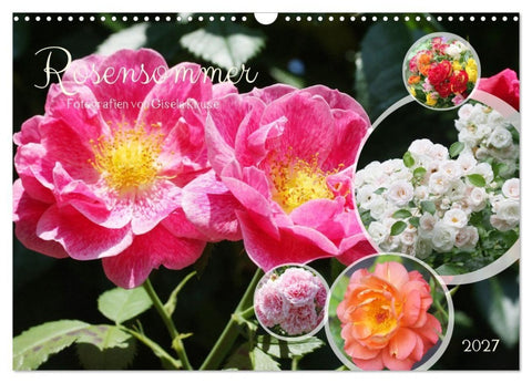 Rosensommer (Wandkalender 2027 DIN A3 quer), CALVENDO Monatskalender