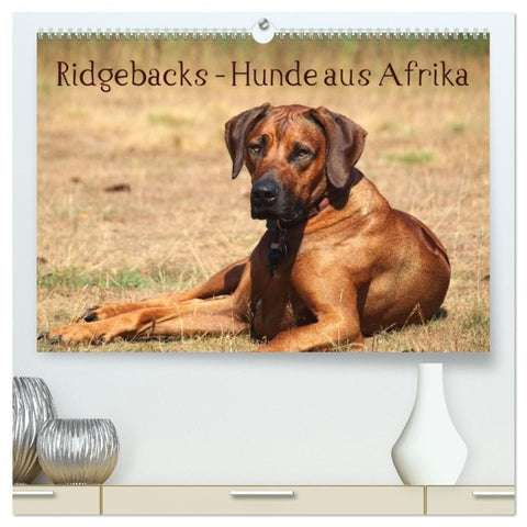 Ridgebacks - Hunde aus Afrika (hochwertiger Premium Wandkalender 2027 DIN A2 quer), Kunstdruck in Hochglanz