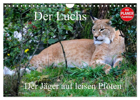 Der Luchs - Der Jäger auf leisen Pfoten (Wandkalender 2027 DIN A4 quer), CALVENDO Monatskalender