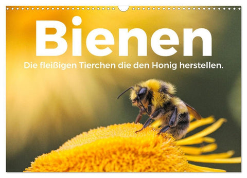 Bienen - Die fleißigen Tierchen die den Honig herstellen. (Wandkalender 2026 DIN A3 quer), CALVENDO Monatskalender