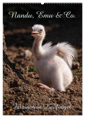 Nandu, Emu & Co. (Wandkalender 2026 DIN A2 hoch), CALVENDO Monatskalender