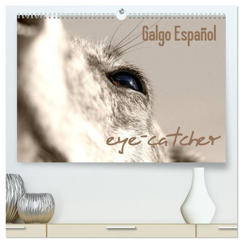 Galgo eye-catcher (hochwertiger Premium Wandkalender 2026 DIN A2 quer), Kunstdruck in Hochglanz