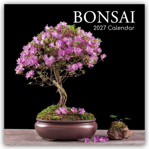 Bonsai – Bonsaibäume 2027 – 16-Monatskalender