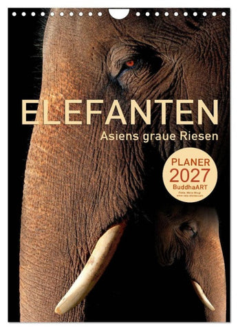 ELEFANTEN - Asiens graue Riesen (Wandkalender 2027 DIN A4 hoch), CALVENDO Monatskalender