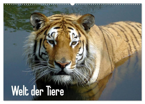 Welt der Tiere (Wandkalender 2027 DIN A2 quer), CALVENDO Monatskalender