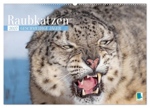 Raubkatzen: Geschmeidige Jäger (Wandkalender 2027 DIN A2 quer), CALVENDO Monatskalender