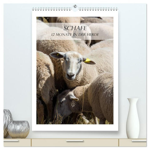 Schafe - 12 Monate in der Herde (hochwertiger Premium Wandkalender 2027 DIN A2 hoch), Kunstdruck in Hochglanz
