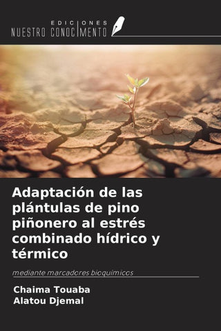 Adaptación de las plántulas de pino piñonero al estrés combinado hídrico y térmico
