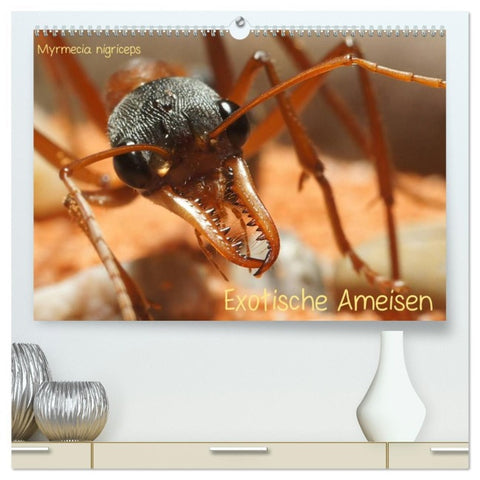 Exotische Ameisen (hochwertiger Premium Wandkalender 2026 DIN A2 quer), Kunstdruck in Hochglanz