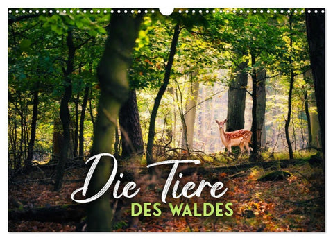 Die Tiere des Waldes (Wandkalender 2027 DIN A3 quer), CALVENDO Monatskalender