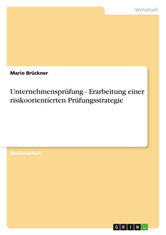 Unternehmensprüfung - Erarbeitung einer risikoorientierten Prüfungsstrategie