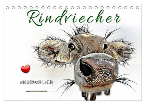 Rindviecher unglaublich (Tischkalender 2026 DIN A5 quer), CALVENDO Monatskalender