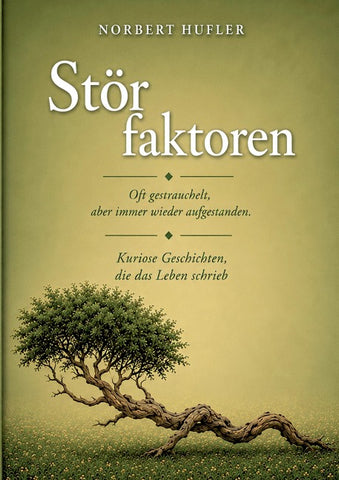 Störfaktoren