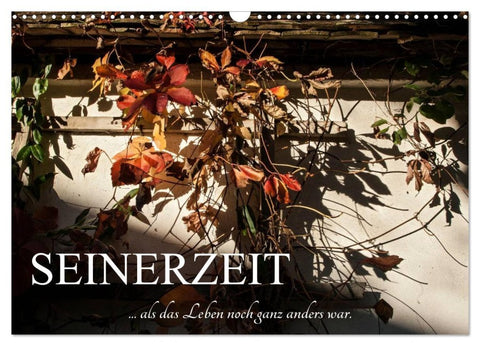 Seinerzeit (Wandkalender 2026 DIN A3 quer), CALVENDO Monatskalender