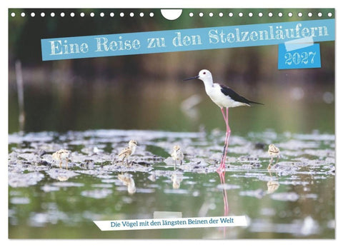 Eine Reise zu den Stelzenläufern (Wandkalender 2027 DIN A4 quer), CALVENDO Monatskalender