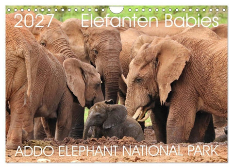 ADDO ELEPHANT NATIONAL PARK Elefanten Babies (Wandkalender 2027 DIN A4 quer), CALVENDO Monatskalender