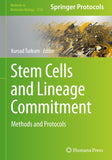 Stem Cells and Lineage Commitment