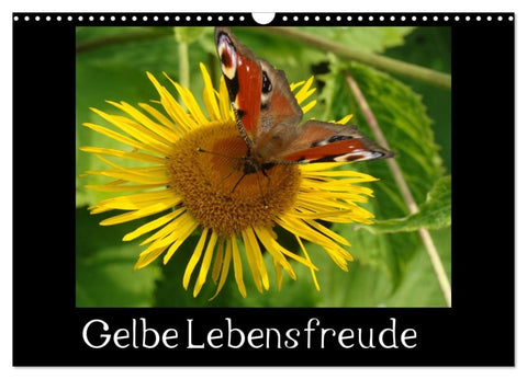 Gelbe Lebensfreude (Wandkalender 2026 DIN A3 quer), CALVENDO Monatskalender