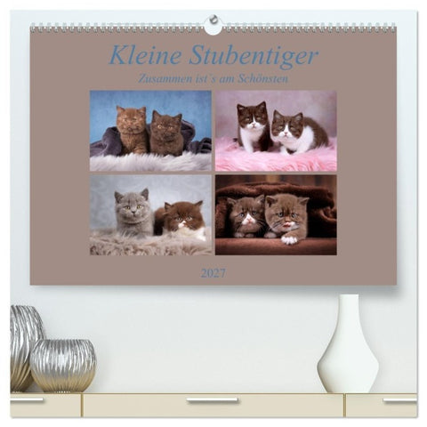Kleine Stubenstiger (hochwertiger Premium Wandkalender 2027 DIN A2 quer), Kunstdruck in Hochglanz