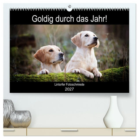 Goldig durch das Jahr! (hochwertiger Premium Wandkalender 2027 DIN A2 quer), Kunstdruck in Hochglanz