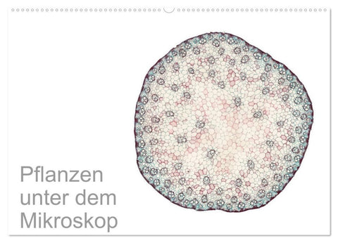 Pflanzen unter dem Mikroskop (Wandkalender 2027 DIN A2 quer), CALVENDO Monatskalender