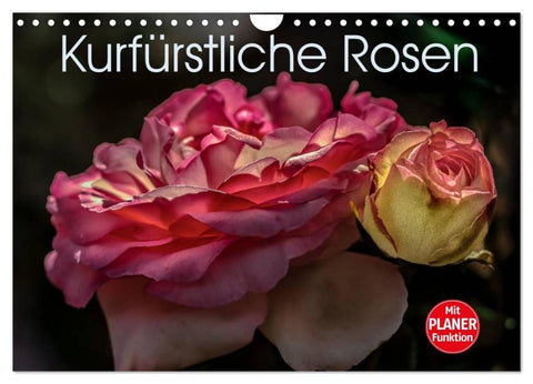 Kurfürstliche Rosen Eltville am Rhein (Wandkalender 2027 DIN A4 quer), CALVENDO Monatskalender