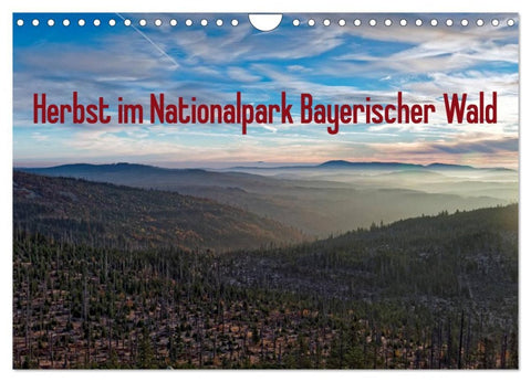 Herbst im Nationalpark Bayerischer Wald (Wandkalender 2026 DIN A4 quer), CALVENDO Monatskalender