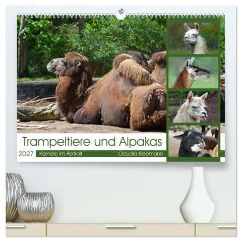 Trampeltiere und Alpakas (hochwertiger Premium Wandkalender 2027 DIN A2 quer), Kunstdruck in Hochglanz